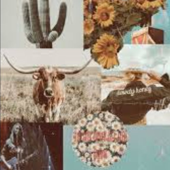 Meet your Posher, Kaitlyn - Picture 4 of 4